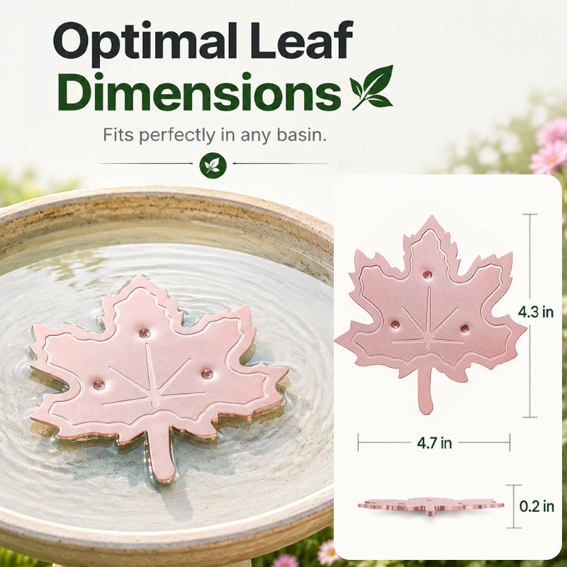 🍁Zolmeriq™ Universal Fit Bird Bath Purifier