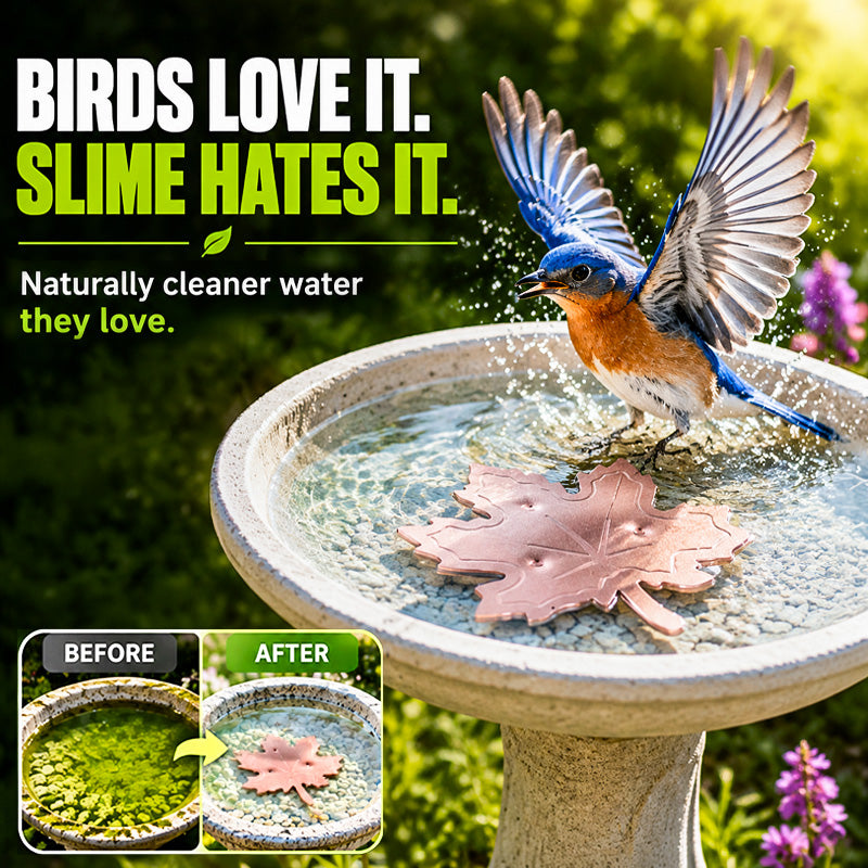 Universal-fit bird bath purifier