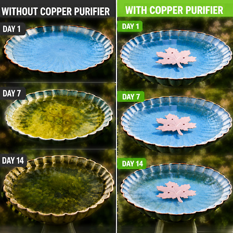 🍁Zolmeriq™ Universal Fit Bird Bath Purifier