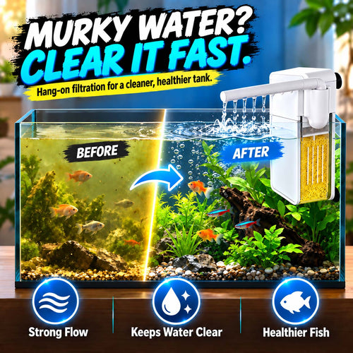 🐕Zolmeriq™ Multifunctional Mini Filter for Small Fish Tank