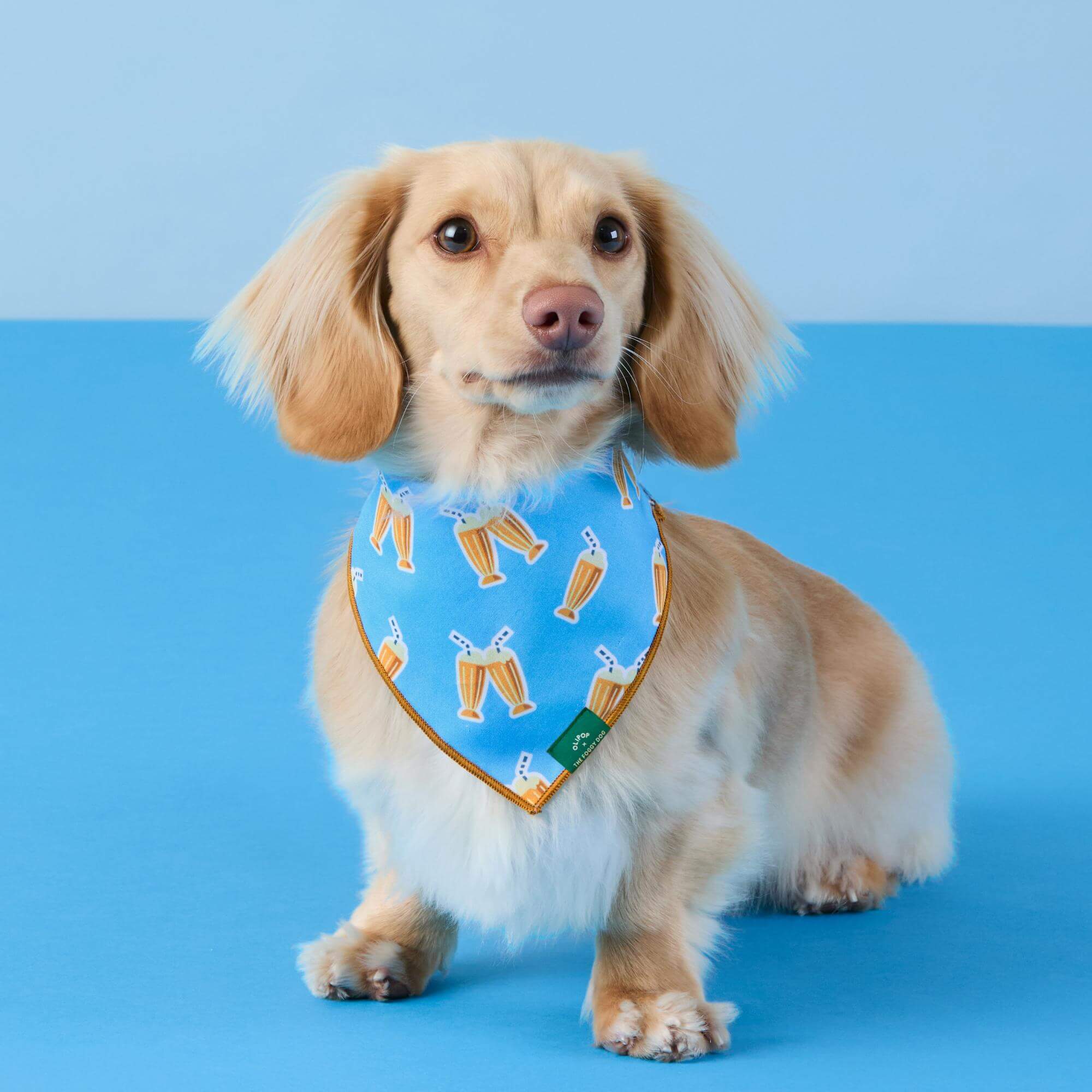 OLIPOP x TFD Cream Soda Dog Bandana