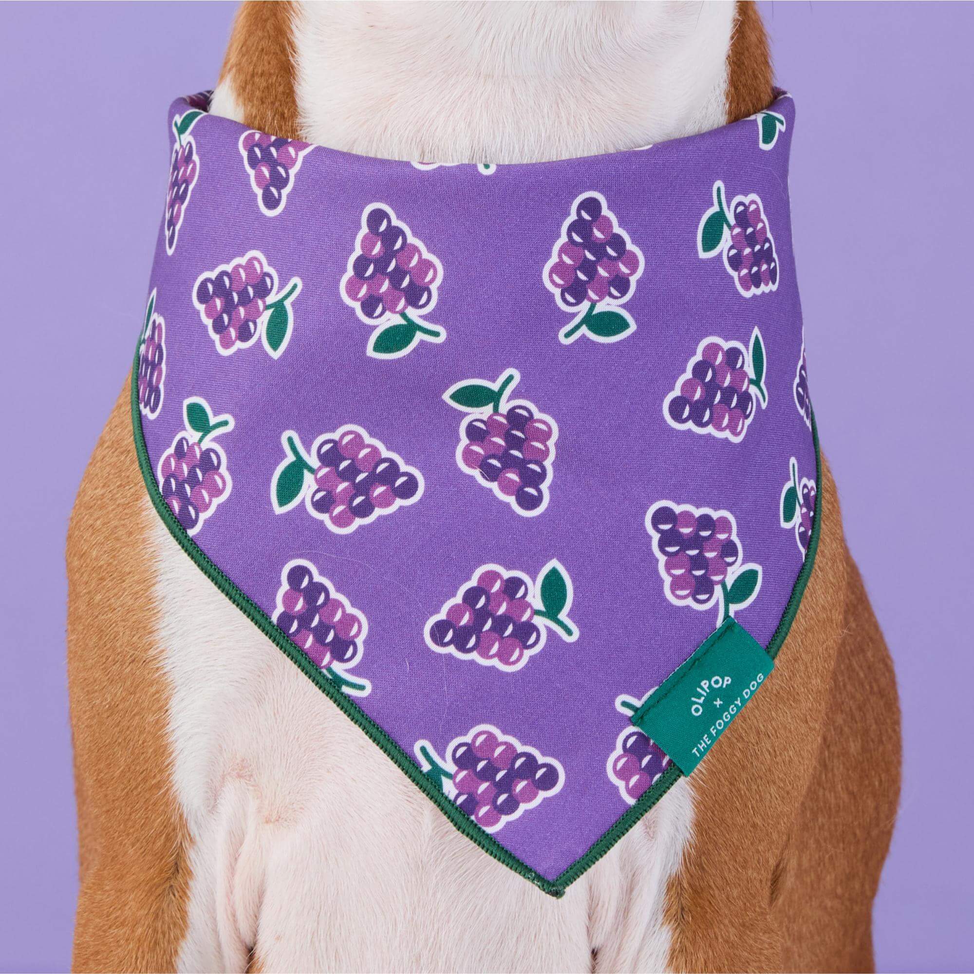 OLIPOP x TFD Classic Grape Dog Bandana
