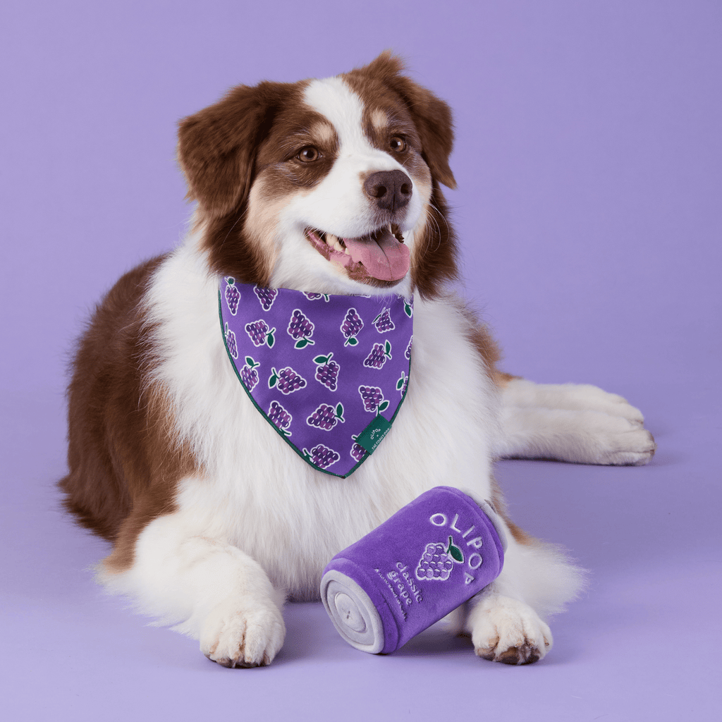 OLIPOP x TFD Classic Grape Dog Bandana