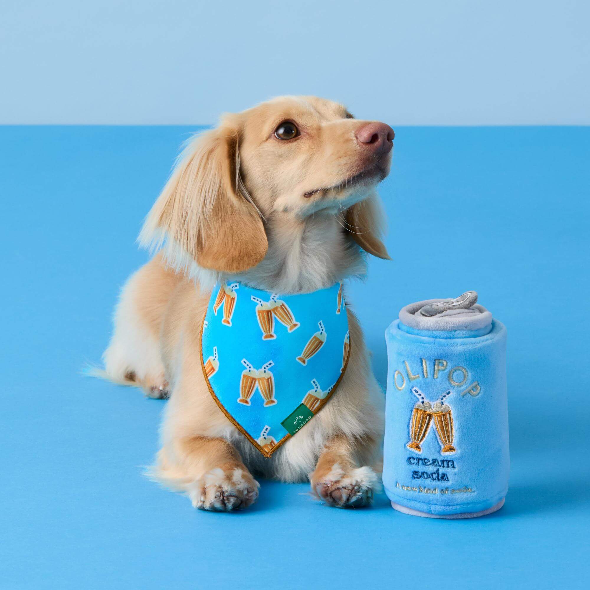 OLIPOP x TFD Cream Soda Dog Bandana