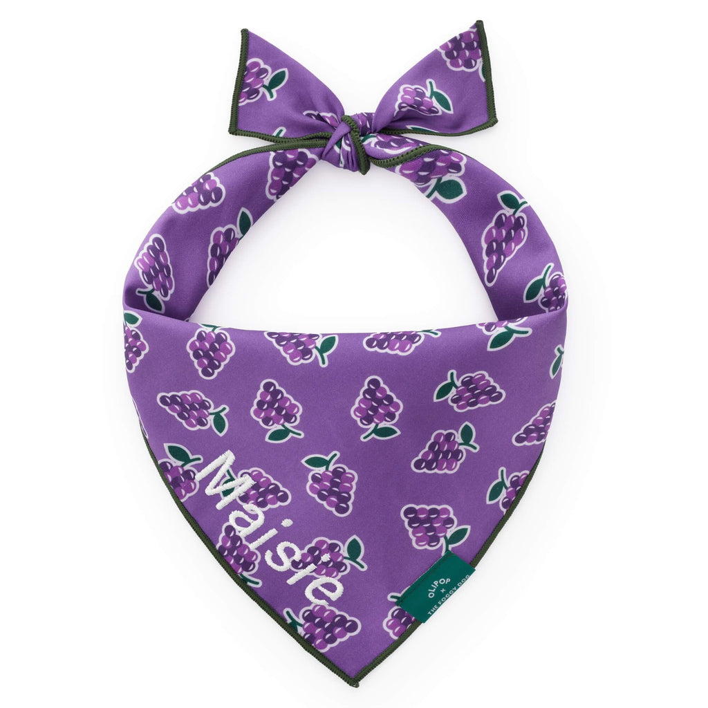 OLIPOP x TFD Classic Grape Dog Bandana