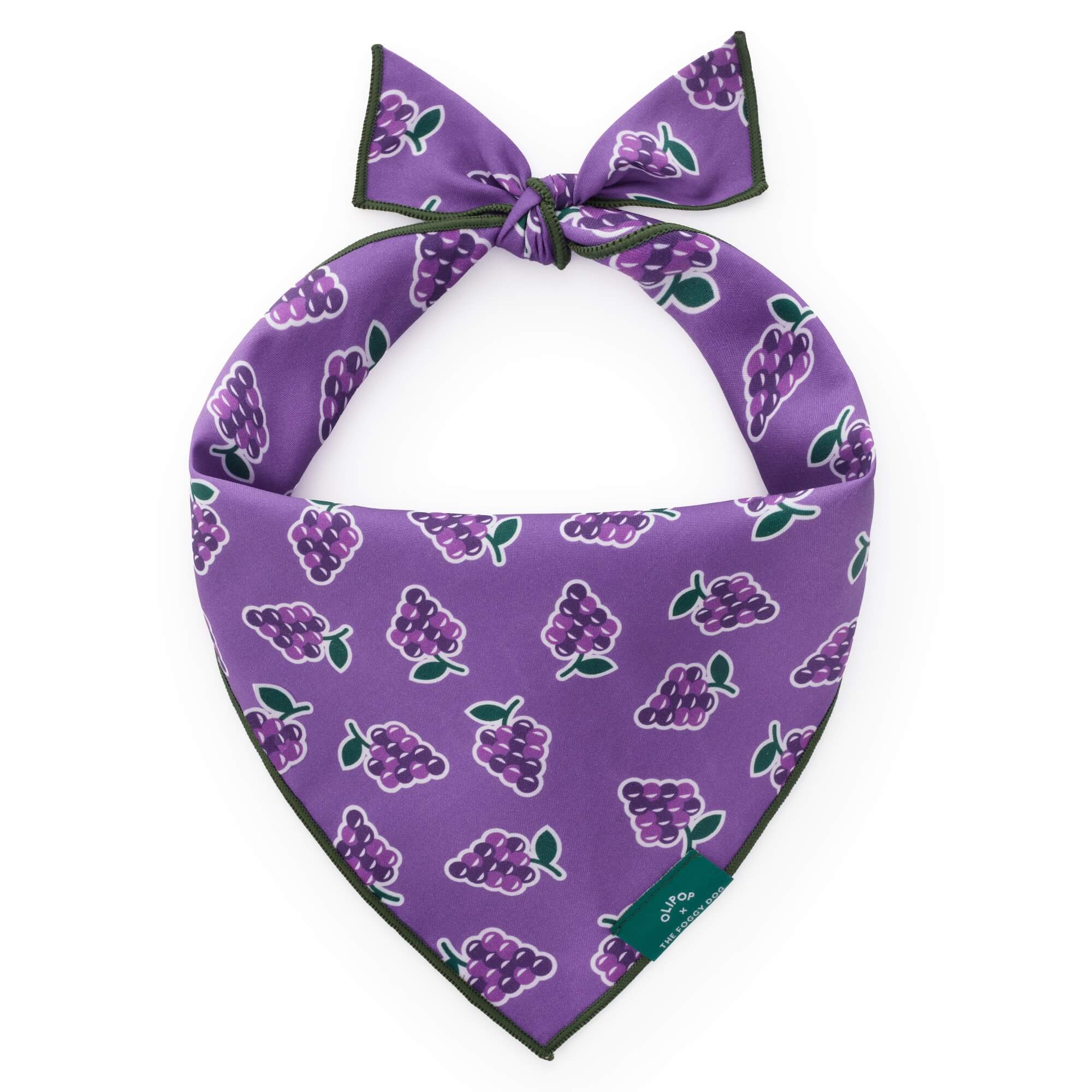 OLIPOP x TFD Classic Grape Dog Bandana