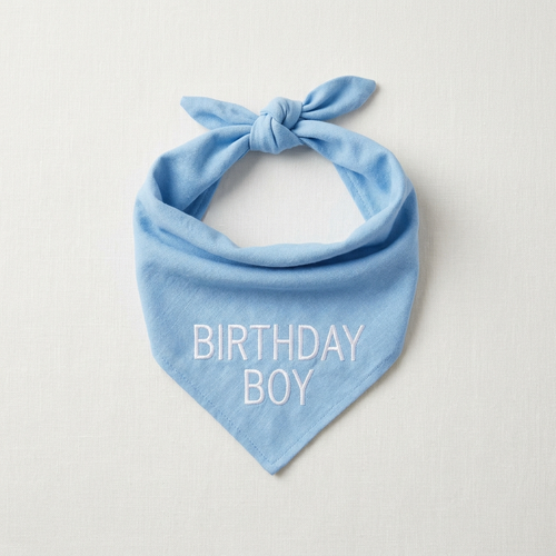 Powder blue dog bandana embroidered Birthday Boy in white thread, tied in a triangle knot