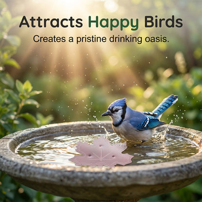 🍁Zolmeriq™ Universal Fit Bird Bath Purifier